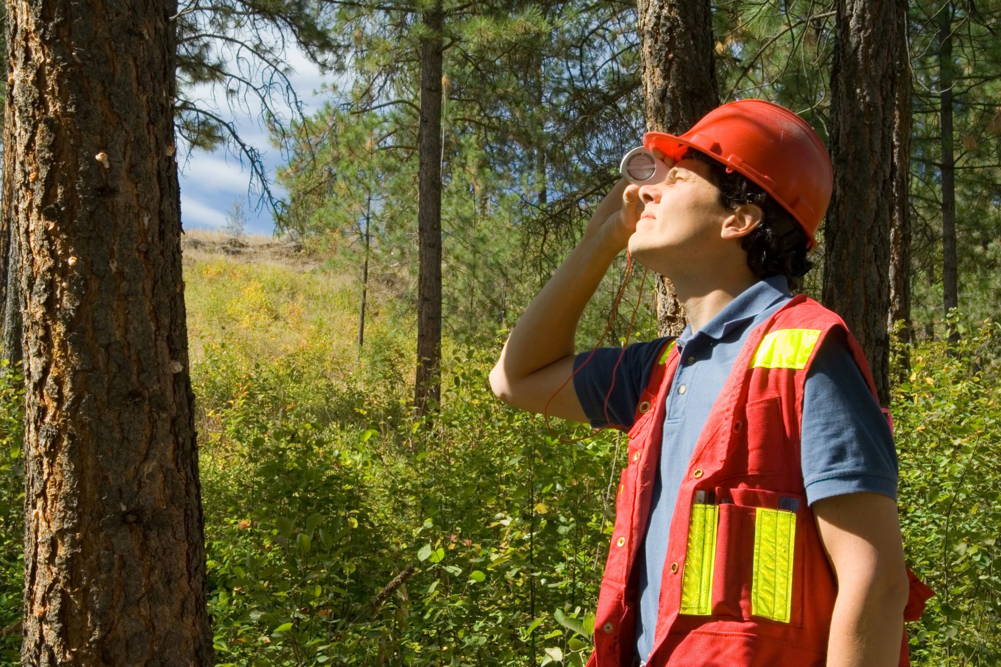 Forestry Jobs Denver