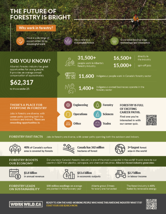 Forestry Career Infographic Work Wild